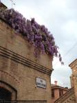 20130420-bologna-06.jpg