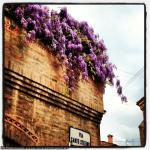 20130420-bologna-07.jpg