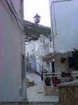 20100800_levanzo-sicilia_046.jpg