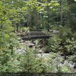 20260700_germania_119_LagoHintersee.jpg
