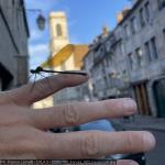 20250700_francia_020_besancon.jpg