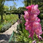 20250700_francia_271_giverny.jpg