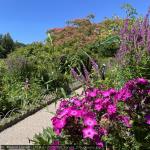 20250700_francia_275_giverny.jpg