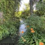 20250700_francia_278_giverny.jpg