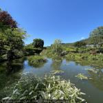 20250700_francia_281_giverny.jpg