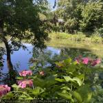 20250700_francia_282_giverny.jpg