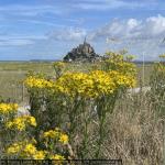 20250700_francia_371_montstmichel.jpg