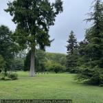 20250700_francia_414_versailles.jpg