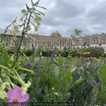 20250700_francia_425_versailles.jpg