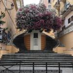 20190700_Corsica_010.JPG