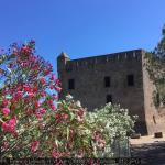 20190700_Corsica_012.JPG